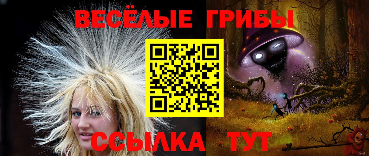 Краснодар  Галлюциногенные грибы мицелий  Вход с VPN 