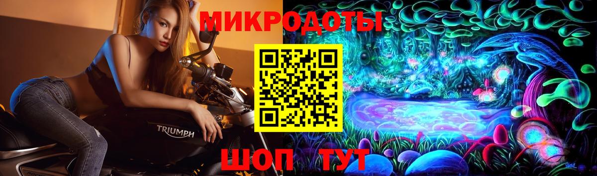 Псилоцибиновые грибы Psilocybine cubensis Краснодар